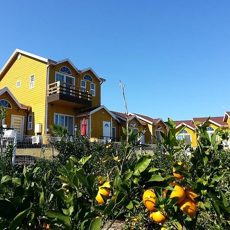Healing House Villa Seogwipo Eksteriør billede