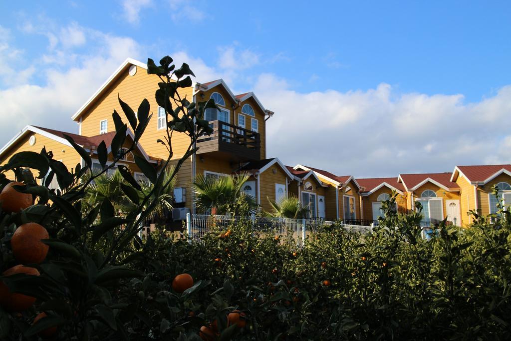 Healing House Villa Seogwipo Eksteriør billede