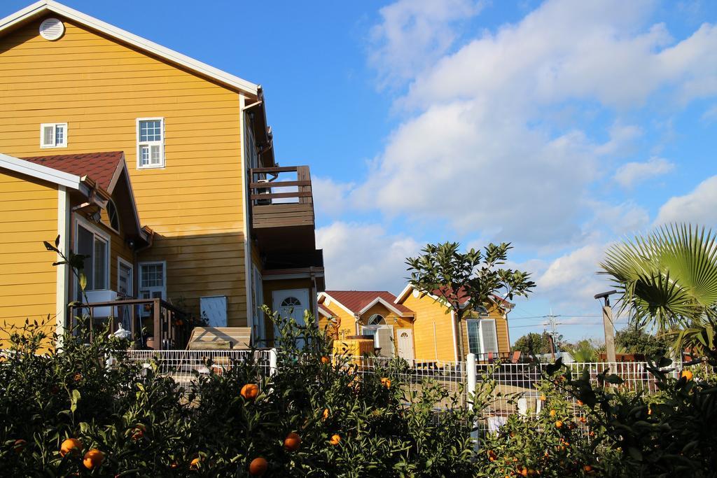Healing House Villa Seogwipo Eksteriør billede