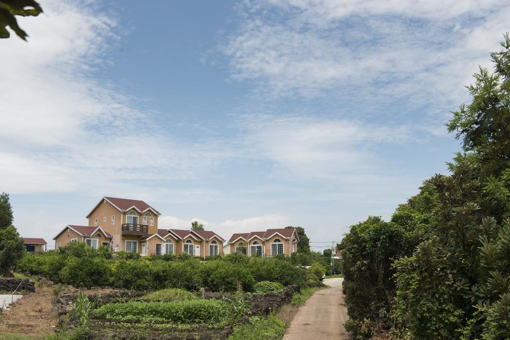 Healing House Villa Seogwipo Eksteriør billede