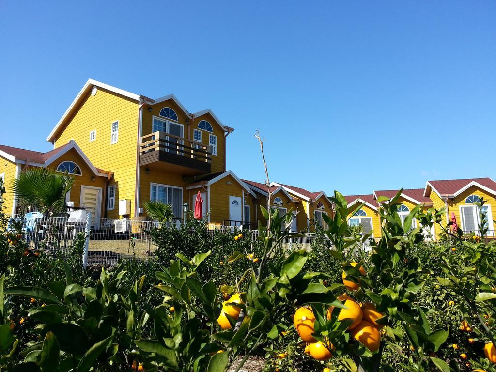Healing House Villa Seogwipo Eksteriør billede